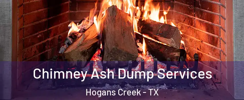 Chimney Ash Dump Services Hogans Creek - TX