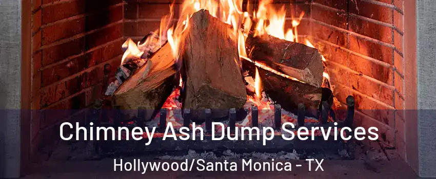 Chimney Ash Dump Services Hollywood/Santa Monica - TX