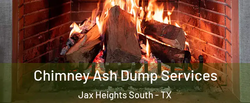 Chimney Ash Dump Services Jax Heights South - TX