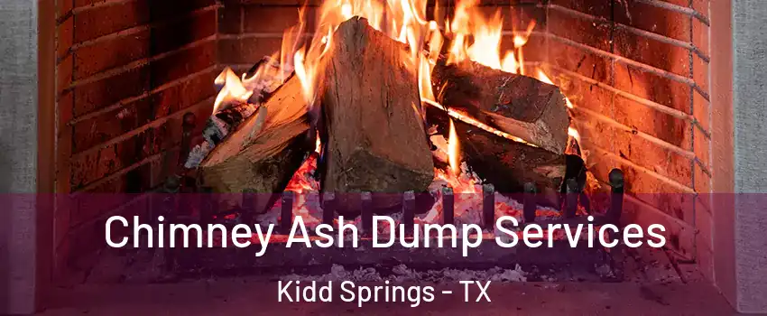 Chimney Ash Dump Services Kidd Springs - TX