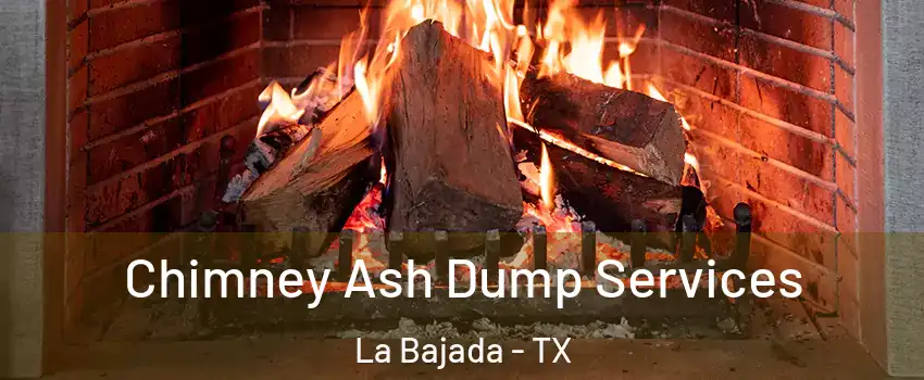 Chimney Ash Dump Services La Bajada - TX
