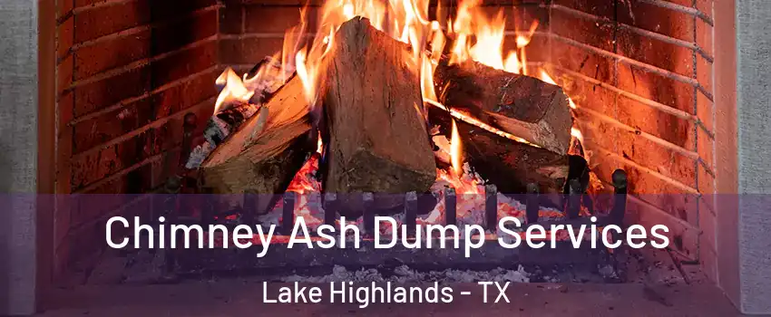 Chimney Ash Dump Services Lake Highlands - TX