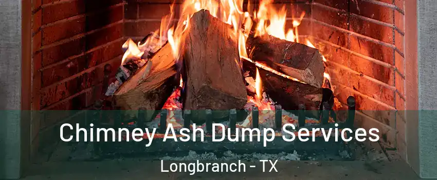 Chimney Ash Dump Services Longbranch - TX