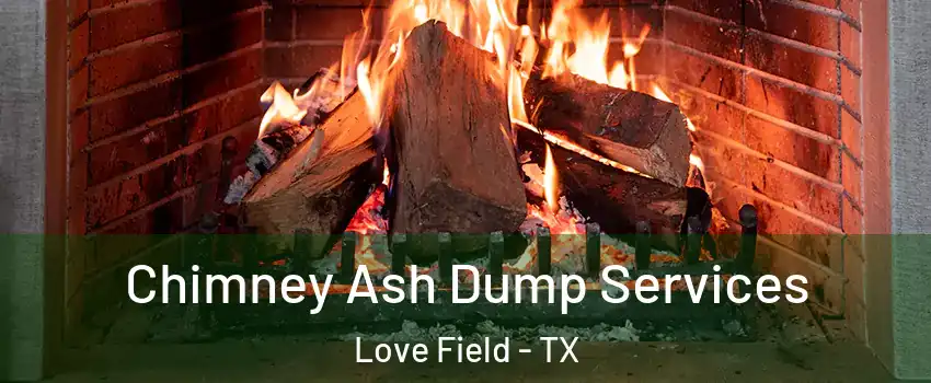 Chimney Ash Dump Services Love Field - TX