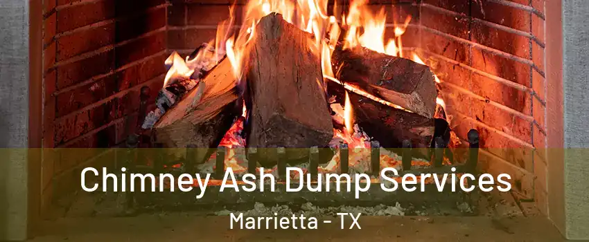 Chimney Ash Dump Services Marrietta - TX