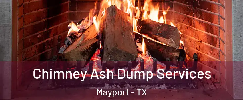 Chimney Ash Dump Services Mayport - TX