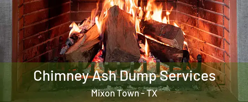 Chimney Ash Dump Services Mixon Town - TX