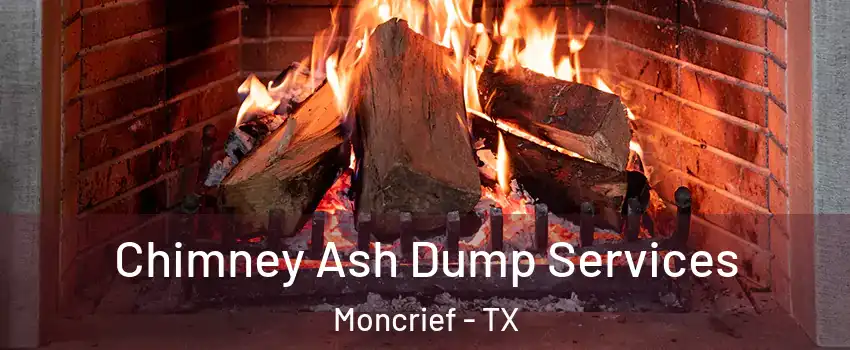 Chimney Ash Dump Services Moncrief - TX