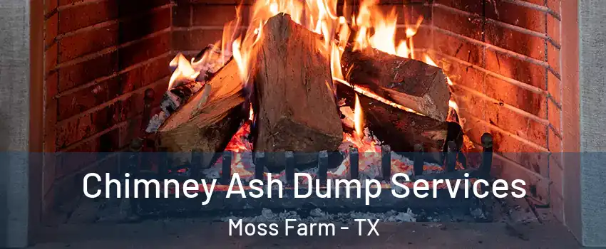 Chimney Ash Dump Services Moss Farm - TX