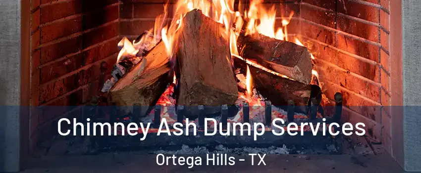 Chimney Ash Dump Services Ortega Hills - TX