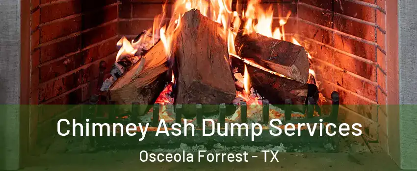 Chimney Ash Dump Services Osceola Forrest - TX