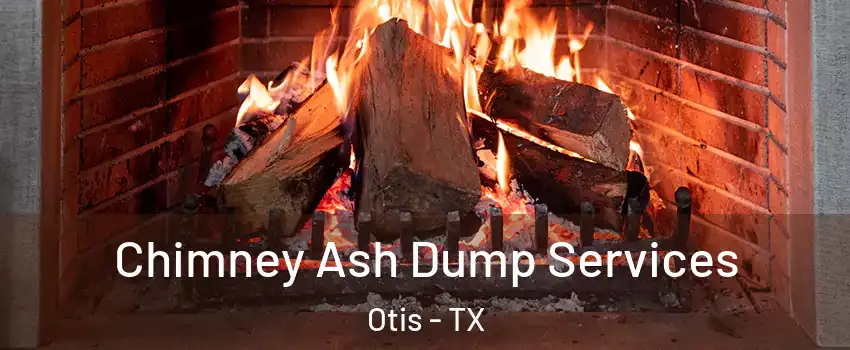 Chimney Ash Dump Services Otis - TX
