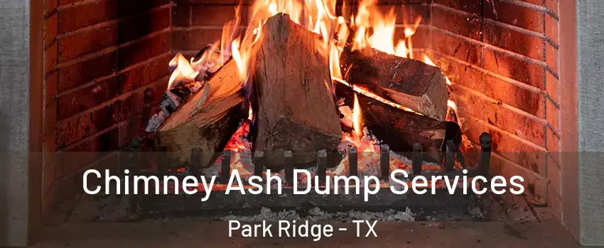Chimney Ash Dump Services Park Ridge - TX