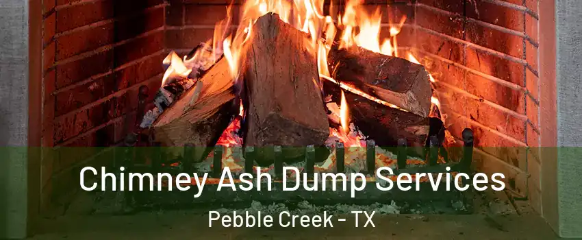 Chimney Ash Dump Services Pebble Creek - TX