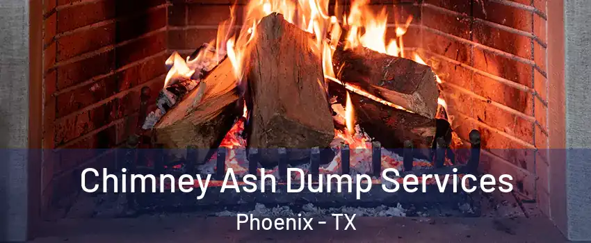 Chimney Ash Dump Services Phoenix - TX