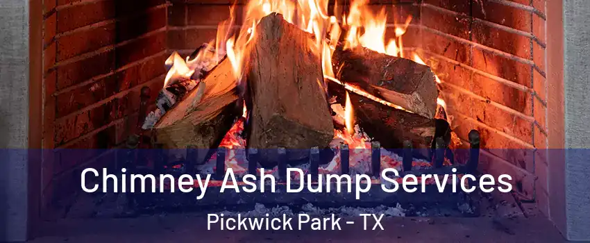 Chimney Ash Dump Services Pickwick Park - TX