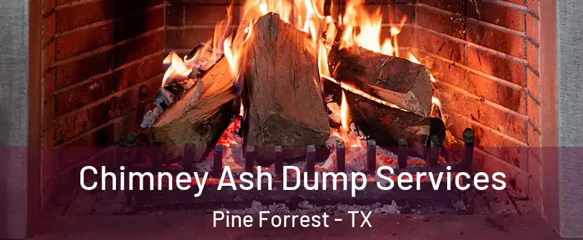 Chimney Ash Dump Services Pine Forrest - TX