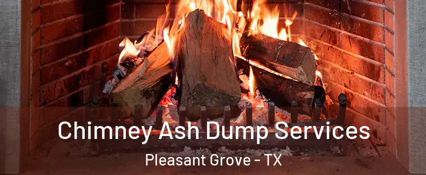 Chimney Ash Dump Services Pleasant Grove - TX