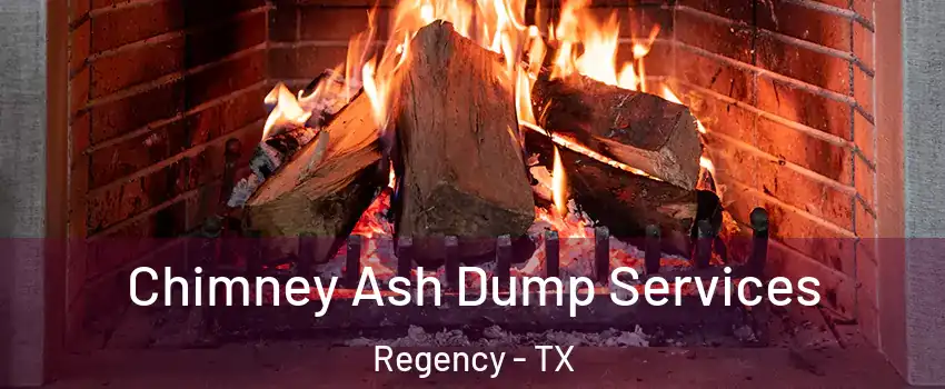 Chimney Ash Dump Services Regency - TX