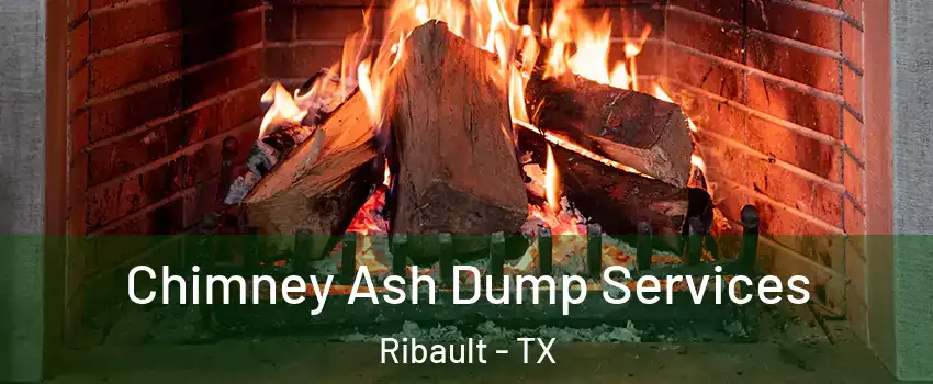 Chimney Ash Dump Services Ribault - TX