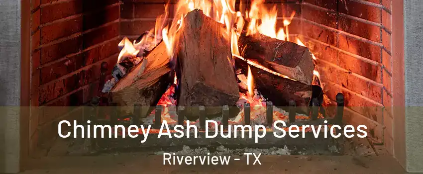 Chimney Ash Dump Services Riverview - TX