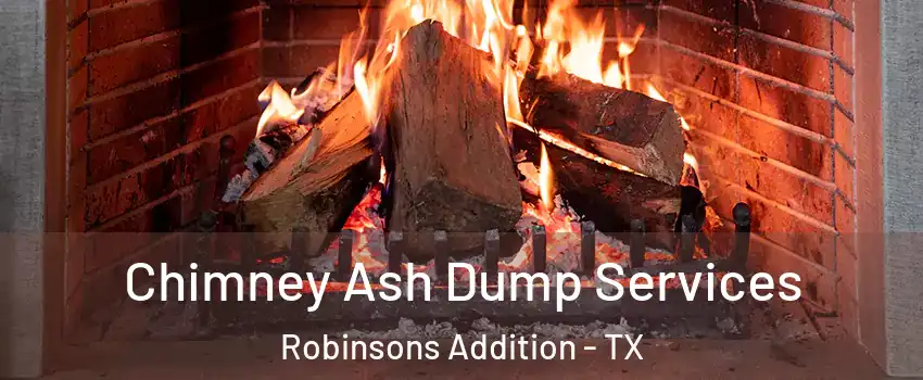 Chimney Ash Dump Services Robinsons Addition - TX