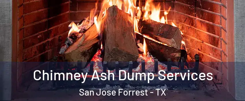 Chimney Ash Dump Services San Jose Forrest - TX