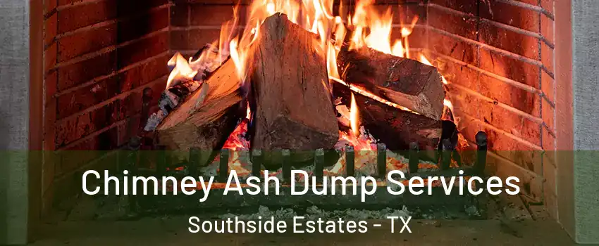 Chimney Ash Dump Services Southside Estates - TX