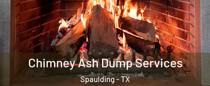 Chimney Ash Dump Services Spaulding - TX