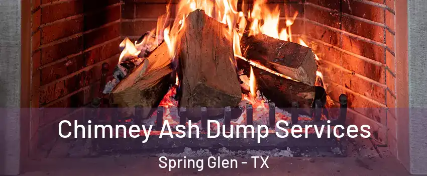 Chimney Ash Dump Services Spring Glen - TX