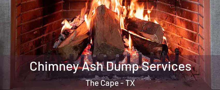 Chimney Ash Dump Services The Cape - TX