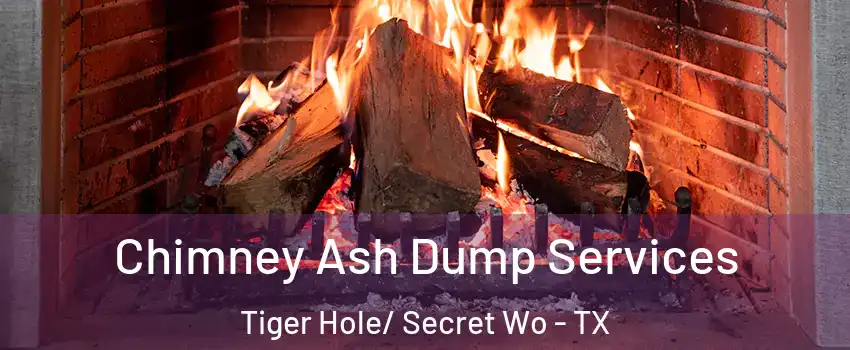 Chimney Ash Dump Services Tiger Hole/ Secret Wo - TX
