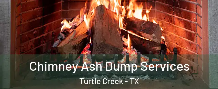 Chimney Ash Dump Services Turtle Creek - TX