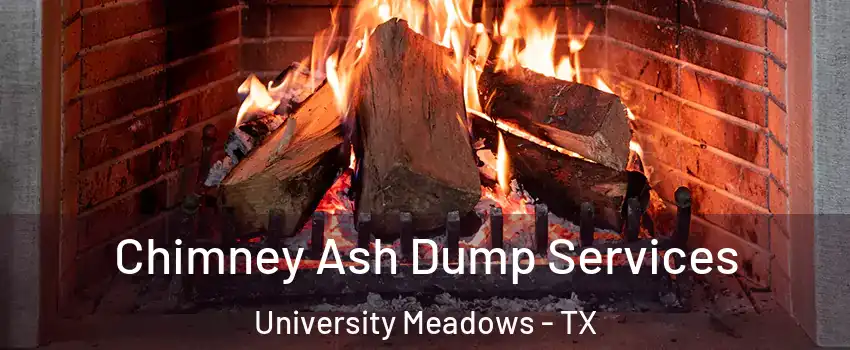 Chimney Ash Dump Services University Meadows - TX