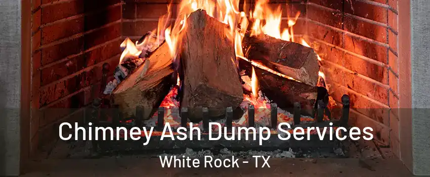 Chimney Ash Dump Services White Rock - TX