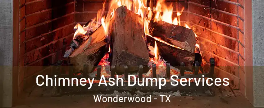 Chimney Ash Dump Services Wonderwood - TX