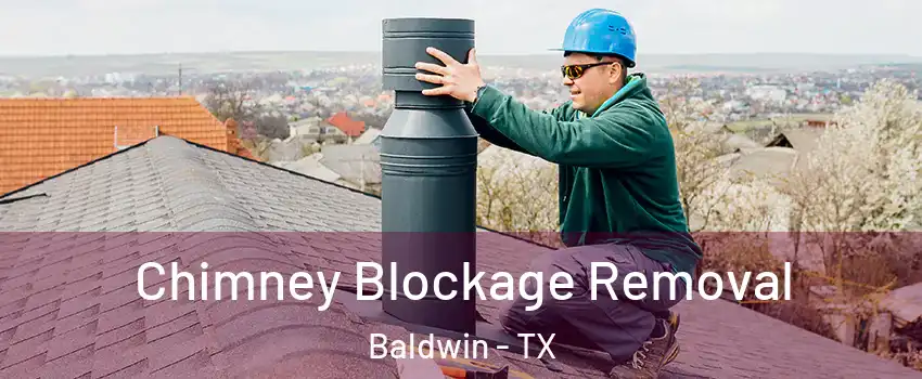 Chimney Blockage Removal Baldwin - TX