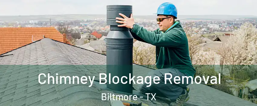 Chimney Blockage Removal Biltmore - TX