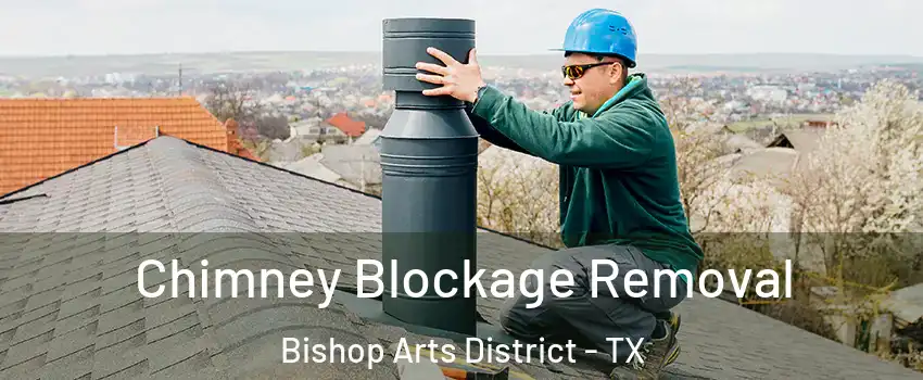 Chimney Blockage Removal Bishop Arts District - TX