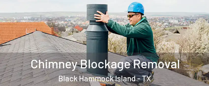 Chimney Blockage Removal Black Hammock Island - TX