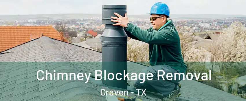 Chimney Blockage Removal Craven - TX