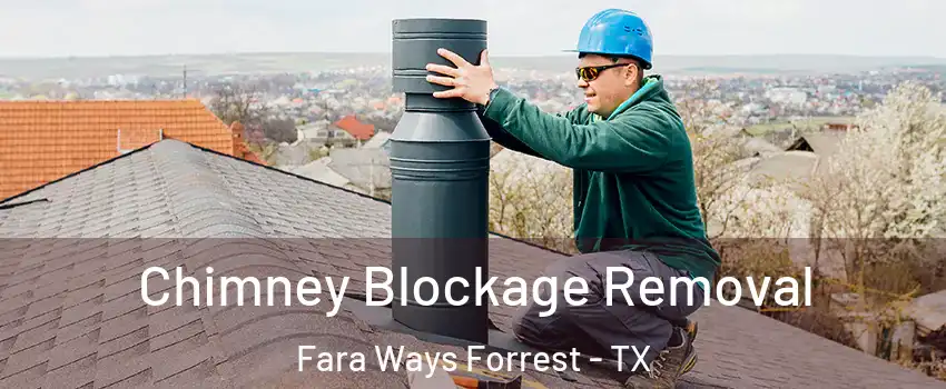 Chimney Blockage Removal Fara Ways Forrest - TX