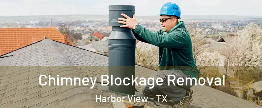 Chimney Blockage Removal Harbor View - TX