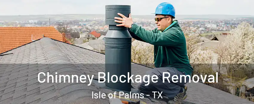 Chimney Blockage Removal Isle of Palms - TX