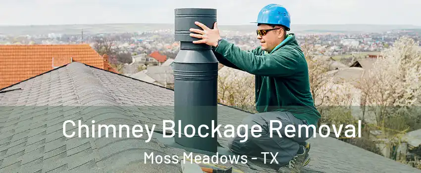 Chimney Blockage Removal Moss Meadows - TX