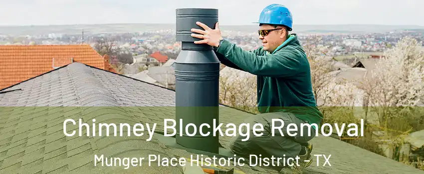 Chimney Blockage Removal Munger Place Historic District - TX