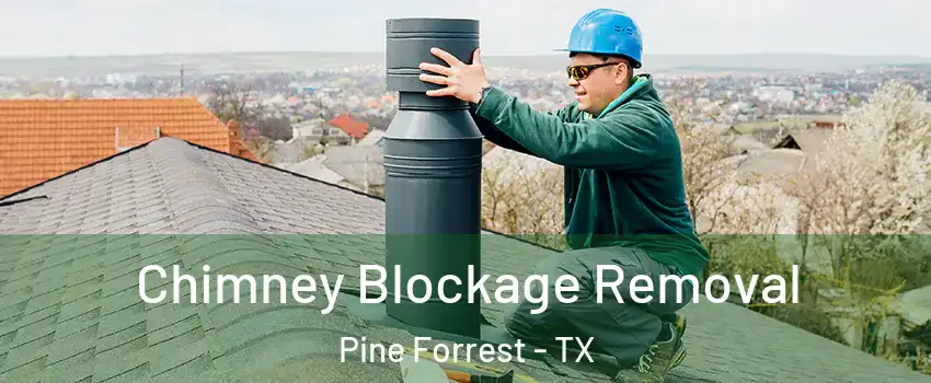 Chimney Blockage Removal Pine Forrest - TX