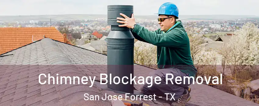 Chimney Blockage Removal San Jose Forrest - TX