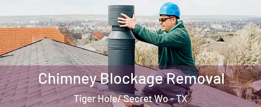 Chimney Blockage Removal Tiger Hole/ Secret Wo - TX