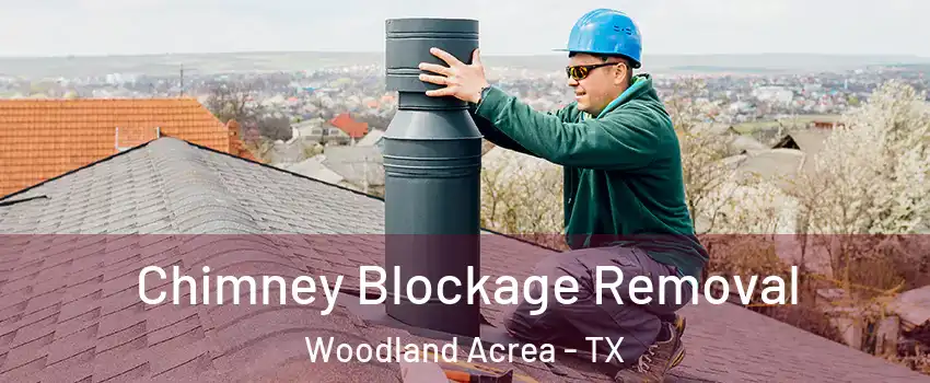 Chimney Blockage Removal Woodland Acrea - TX